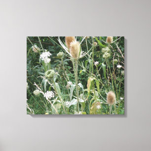 Impression sur toile des herbes sauvages