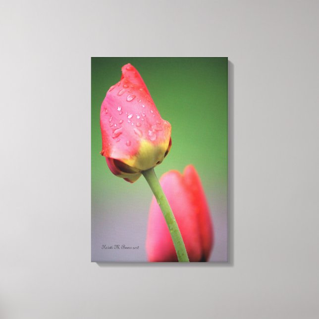 Impression sur toile Deux Tulipes Roses (Recto)
