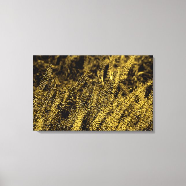 Impression sur toile d'herbe à la lumière dorée (Recto)