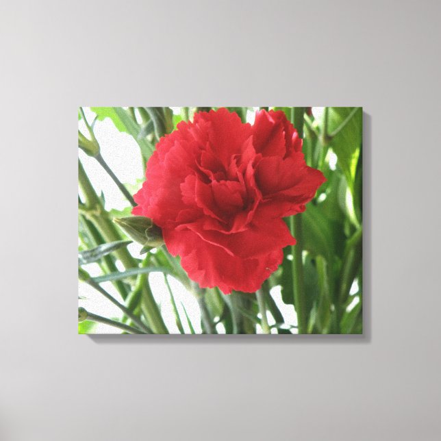 Impression sur toile d'œillet rouge (Recto)