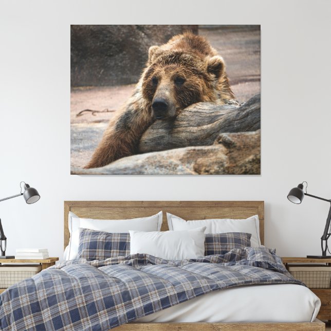 Impression sur toile d'ours grizzly endormi étiré (Insitu(Chambre))