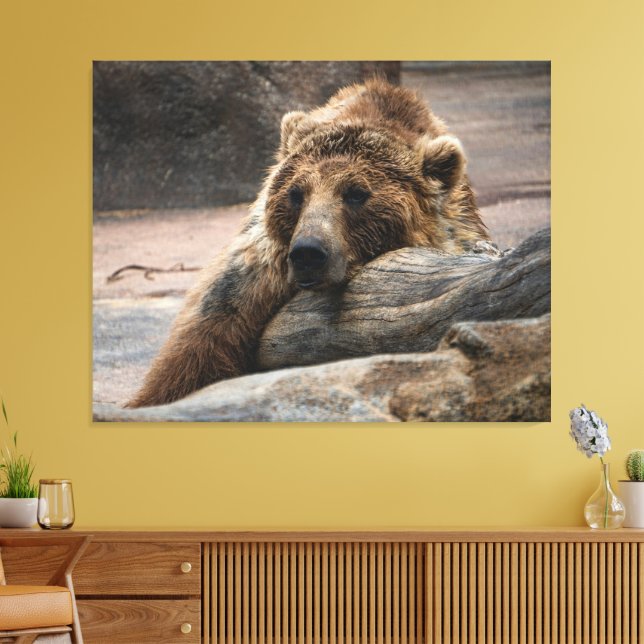 Impression sur toile d'ours grizzly endormi étiré (Insitu(Salon))