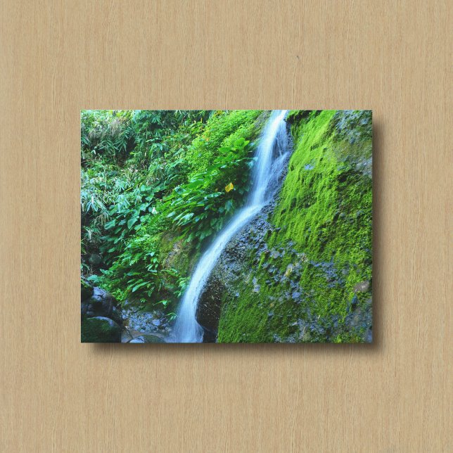 Impression sur toile d'une cascade dans la nature  (Créateur téléchargé)