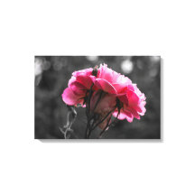 Impression sur toile - Élégance de rose rose