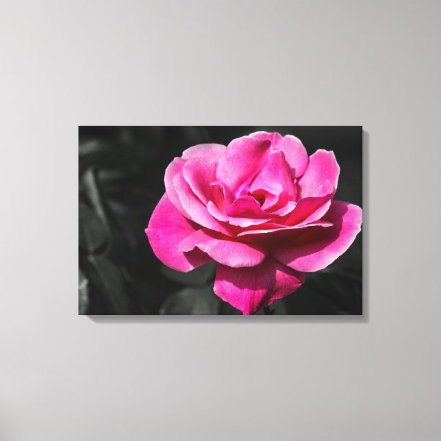 Impression sur toile Élégance Rose Rose (Recto)