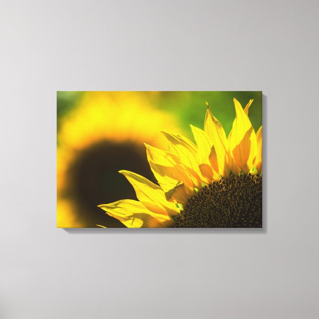 Impression sur toile Elégance Tournesol (Recto)