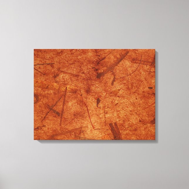 Impression sur toile emballée dans du papier de ba (Recto)