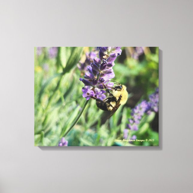 Impression sur toile étendue Abeille bourdonne et  (Recto)