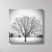 Impression sur toile étendue d'arbre d'hiver