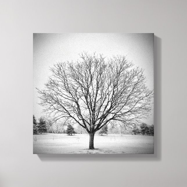 Impression sur toile étendue d'arbre d'hiver (Recto)