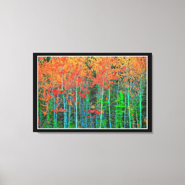 Impression sur toile étendue de forêt (Recto)