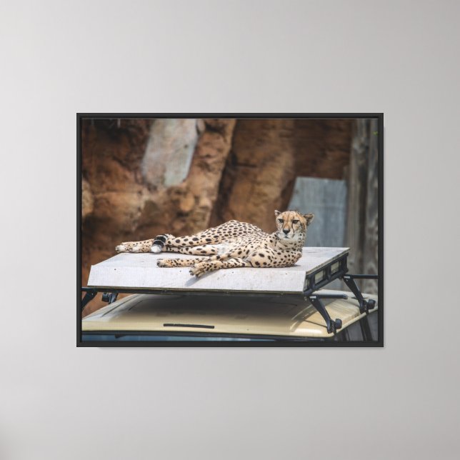 Impression sur toile étendue du Salon du Guépard (Recto)