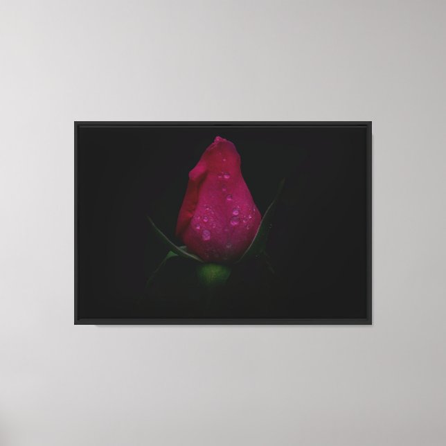 Impression sur toile étendue Rose rose (Recto)