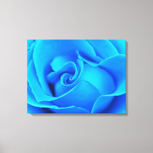 Impression sur toile étirée de rose Winter Blues (Recto)