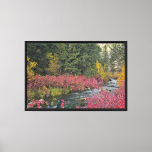 Impression sur toile étirée de ruisseau fleuri
