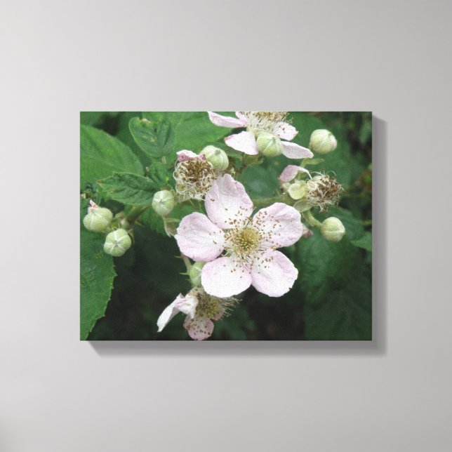 Impression sur toile Fleurs de mûrier (Recto)
