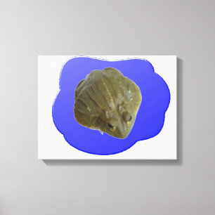 Impression sur toile Grenouille-taureau dans l'éta