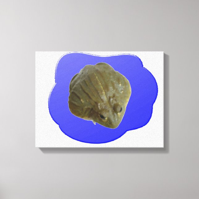Impression sur toile Grenouille-taureau dans l'éta (Recto)