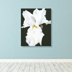 Impression sur toile Iris à barbe blanche sur fond