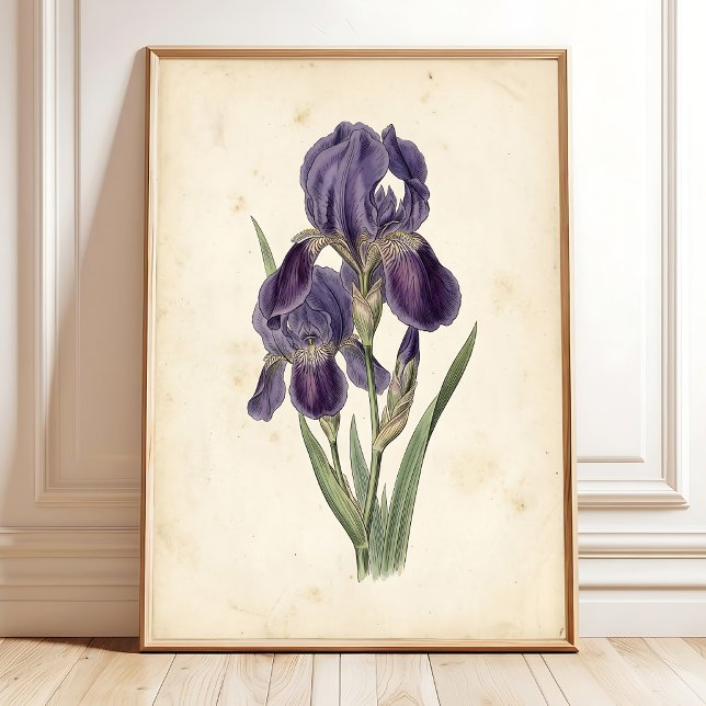 Impression sur toile Iris Bohème Vintage (Créateur téléchargé)