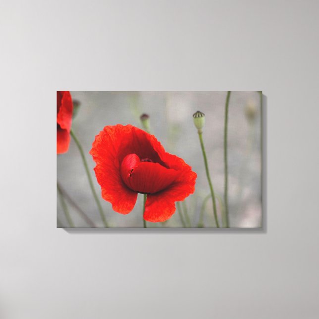 Impression sur toile La Pivoine Rouge (Recto)
