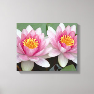 Impression sur toile Lotus de nénuphar flottant ro