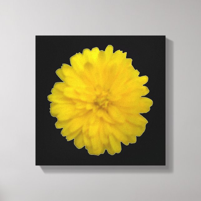 Impression sur toile Marigold Jaune (Recto)