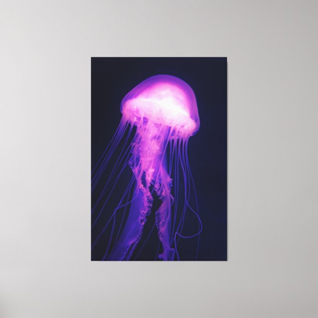 Impression sur toile Méduse violette et Océan bleu (Recto)