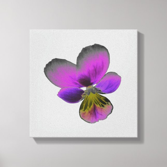 Impression sur toile Pansy Wild Dark Purple (Recto)