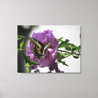 Impression sur toile - Papillon à queue épaisse
