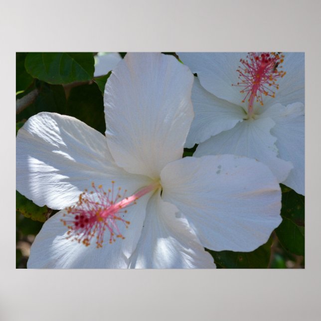 Impression sur toile parfum floral (Devant)
