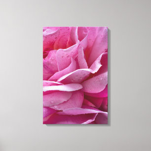 Impression sur toile Pétales de rose rose et goutt