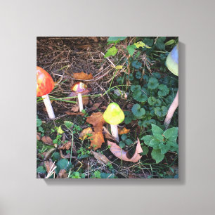 Impression sur toile photographique de jardin de c