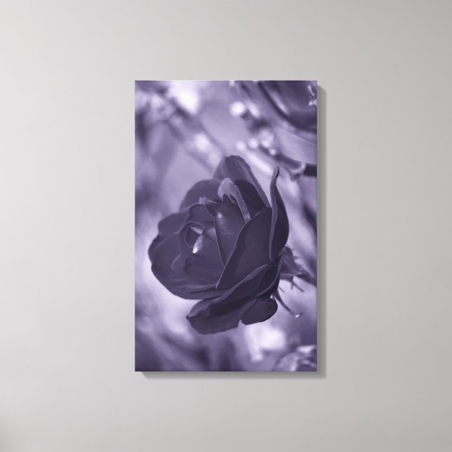 Impression sur toile Rose Violette Enveloppée (Recto)