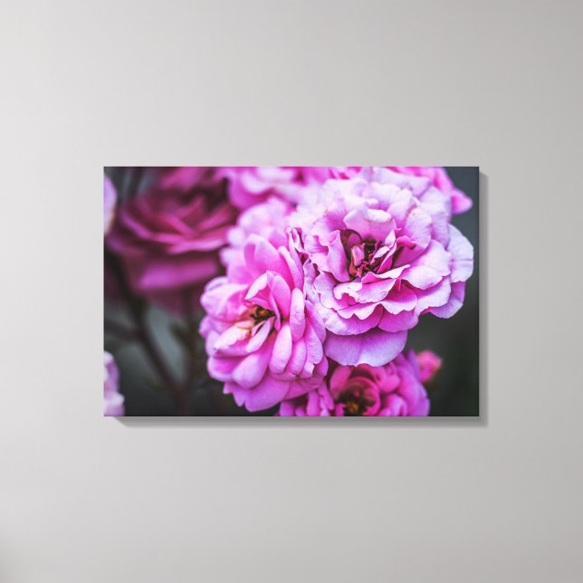 Impression sur toile Roses roses tendres  (Recto)