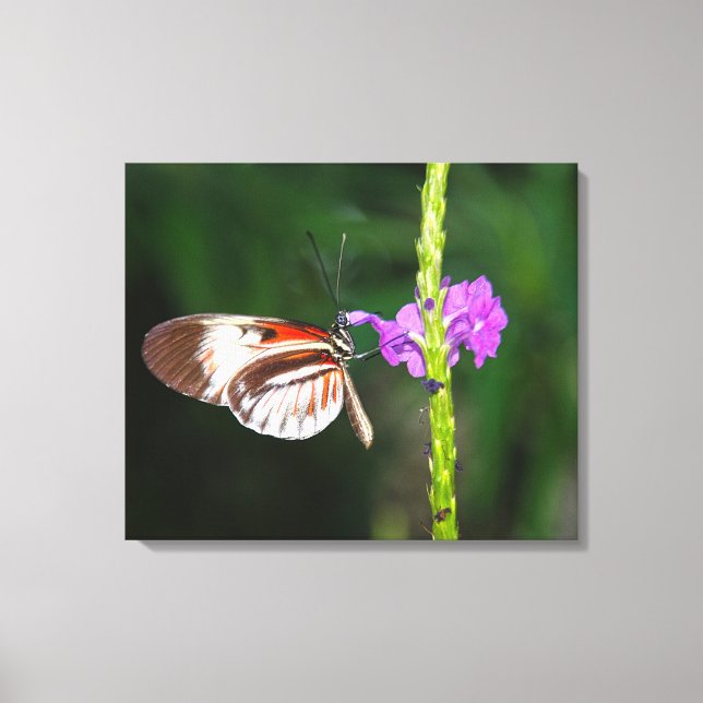 Impression sur toile tendue (Recto)