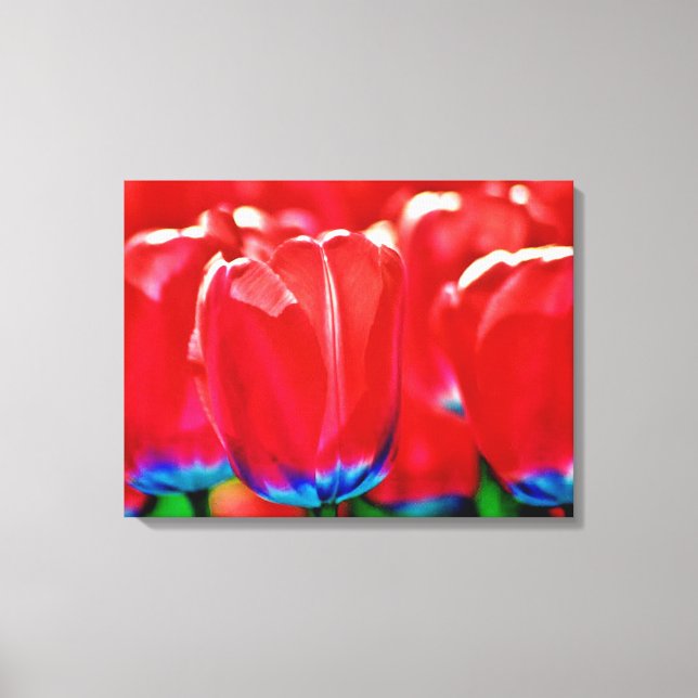 Impression sur toile tendue (Recto)