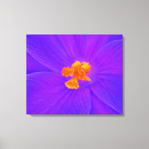 Impression sur toile tendue