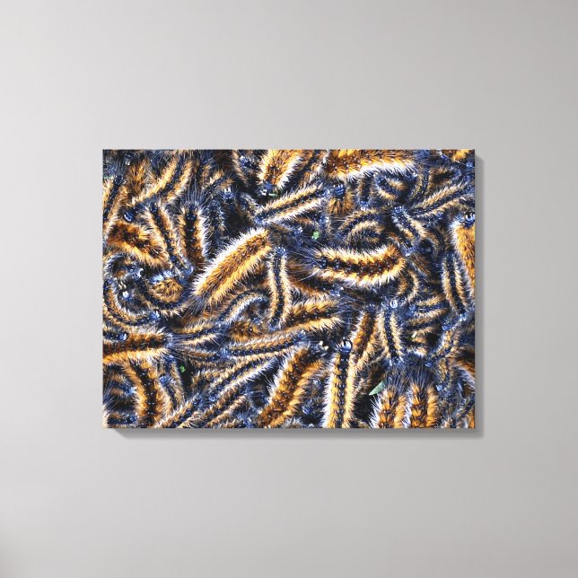 Impression sur toile tendue (Recto)