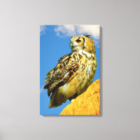 Impression sur toile tendue