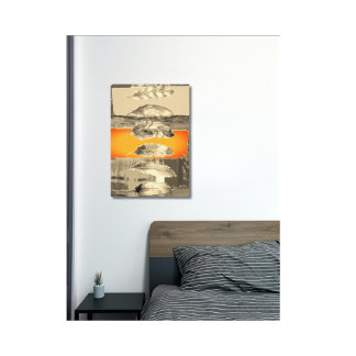 Impression sur toile tendue abstraite de plumes br