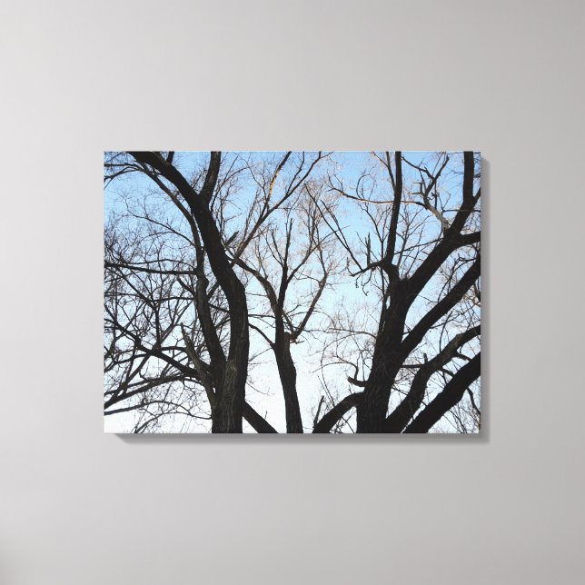 Impression sur toile tendue d'arbre (Recto)