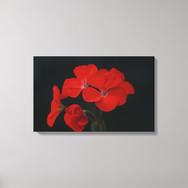 Impression sur toile tendue de fleurs rouges incro (Recto)