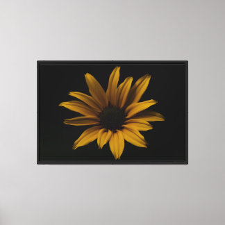 Impression sur toile tendue de marguerite jaune