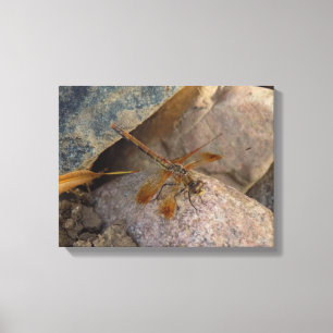 Impression sur toile tendue de photographie de lib