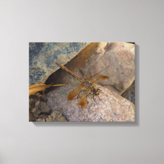 Impression sur toile tendue de photographie de lib
