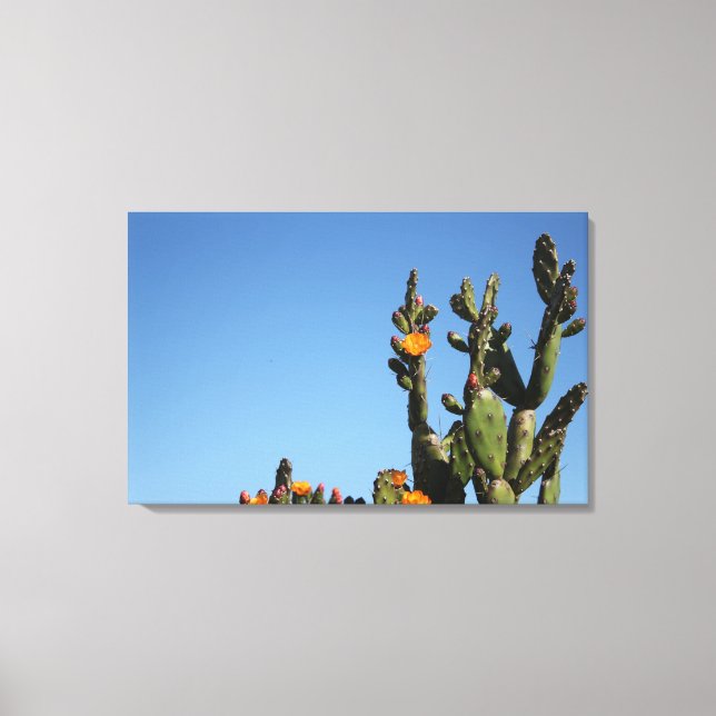 Impression sur toile tendue de plante de cactus en (Recto)