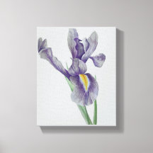 Impression sur toile tendue d'iris