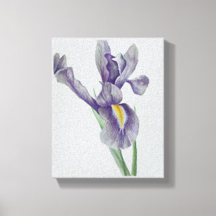 Impression sur toile tendue d'iris