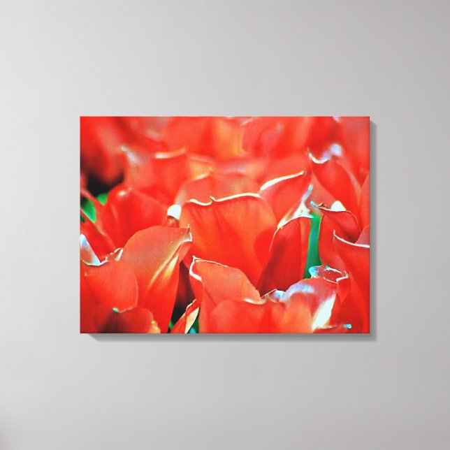 Impression sur toile tendue tulipes  (Recto)